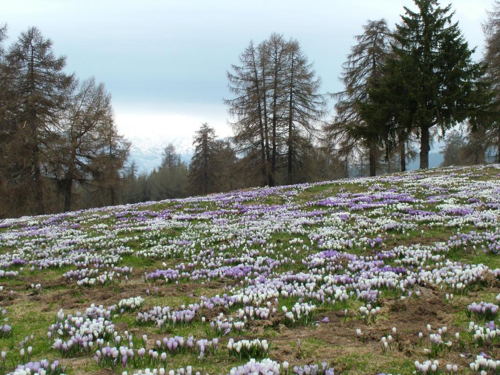 Villa Kastnerhof à Meltina Extérieur photo